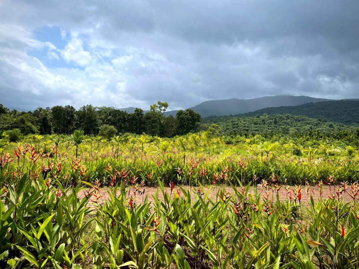 The Postcard Hideaway, Netravali Wildlife Sanctuary, Goa Hotel Vichondrem ภายนอก รูปภาพ