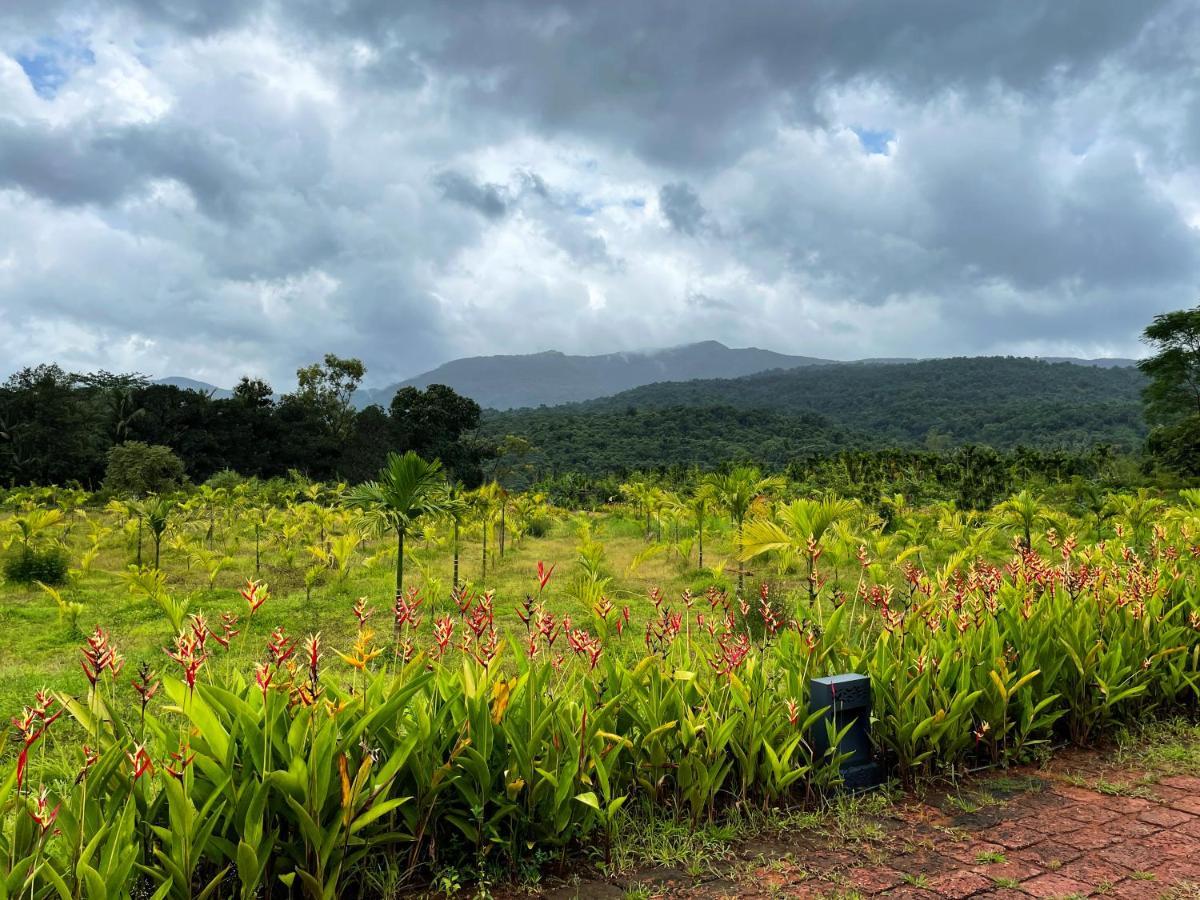 The Postcard Hideaway, Netravali Wildlife Sanctuary, Goa Hotel Vichondrem ภายนอก รูปภาพ