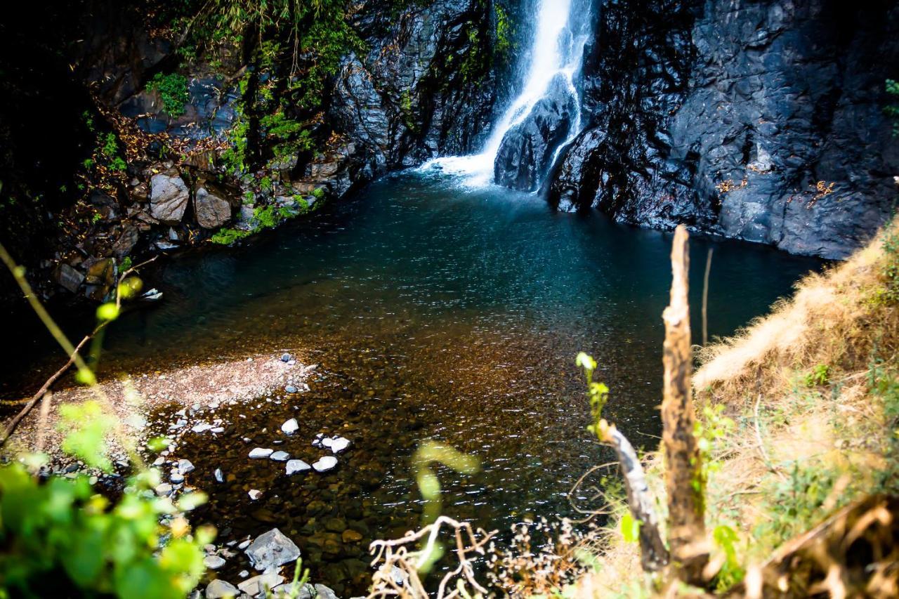 The Postcard Hideaway, Netravali Wildlife Sanctuary, Goa Hotel Vichondrem ภายนอก รูปภาพ