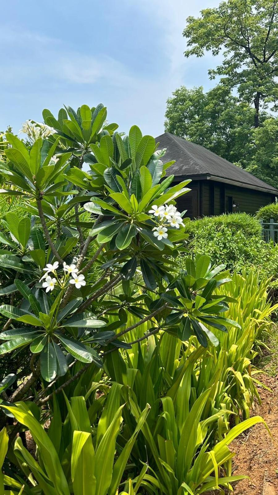 The Postcard Hideaway, Netravali Wildlife Sanctuary, Goa Hotel Vichondrem ภายนอก รูปภาพ
