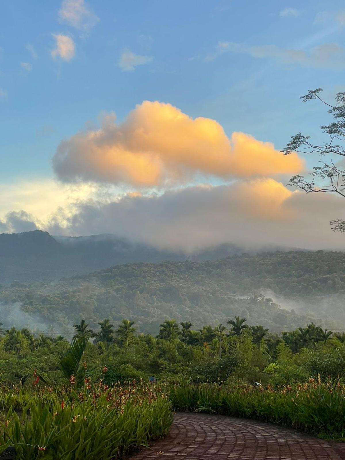 The Postcard Hideaway, Netravali Wildlife Sanctuary, Goa Hotel Vichondrem ภายนอก รูปภาพ