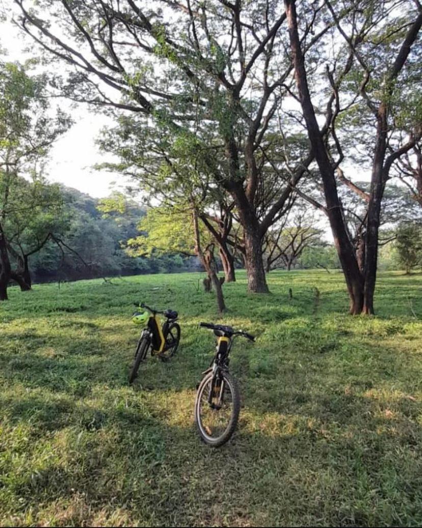 The Postcard Hideaway, Netravali Wildlife Sanctuary, Goa Hotel Vichondrem ภายนอก รูปภาพ